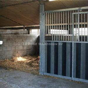 System for mechanical manure removal